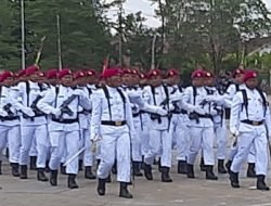 Peringati HUT TNI ke-78, Pj Gubernur Sultra Tegaskan Kawal Demokrasi Untuk Indonesia Maju