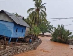 AMPLK Sorot Aktifitas Tambang Bumi Sulawesi Di Kabaena Selatan Kabupaten Bombana