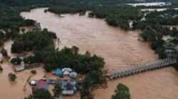 DPW LPPK Sultra Minta Kejagung Dan KPK Sidik Dana Jamrek Disektor Tambang Nikel Khususnya Di Sulawesi Tenggara