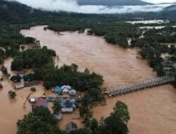 DPW LPPK Sultra Minta Kejagung Dan KPK Sidik Dana Jamrek Disektor Tambang Nikel Khususnya Di Sulawesi Tenggara