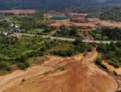 Investigasi Eksekutif ; Dibalik RKAB PT DBK – Ore Nikel Tampa Tambang,Akses Fiktif dan Dugaan Persengkongkolan